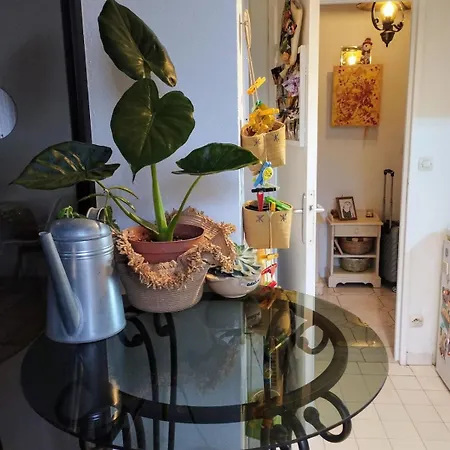 Lägenhet Cosy Coty Tours