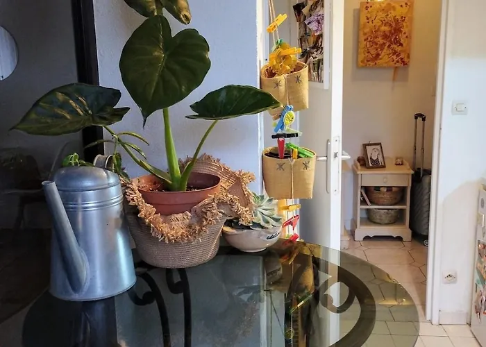 公寓 Cosy Coty 图尔