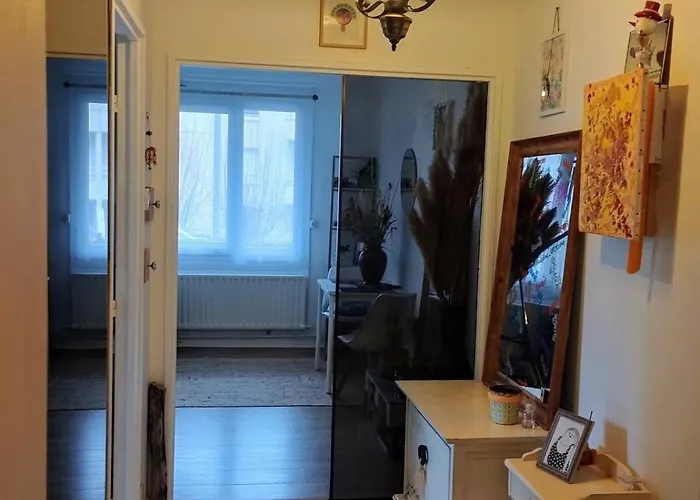 Cosy Coty 公寓 图尔